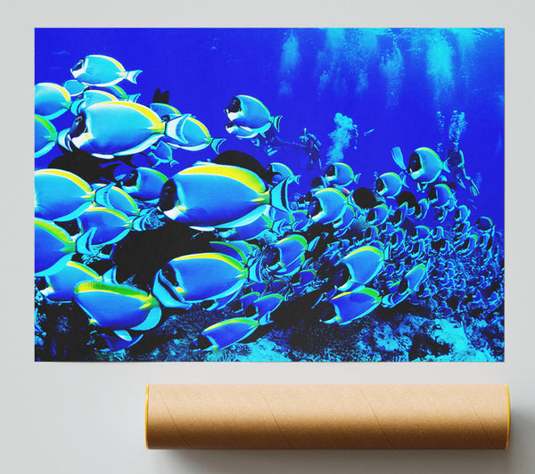 Ocean Fun Giclee Print