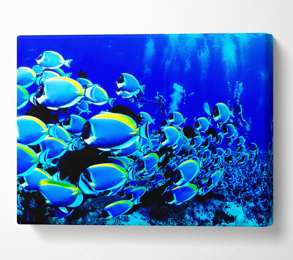  A Canvas Print of Ocean Fun Canvas Print