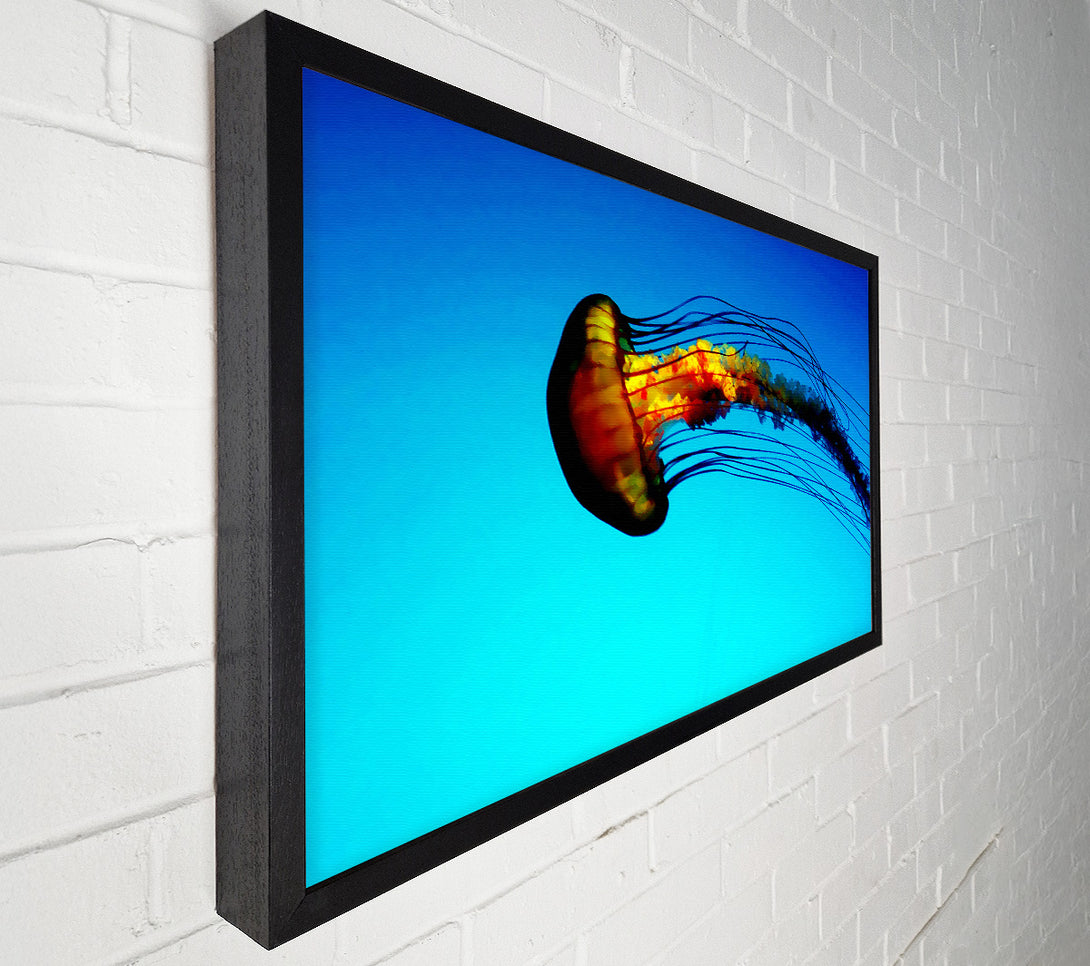  A Canvas Print of Ocean Jellyfish Canvas Print