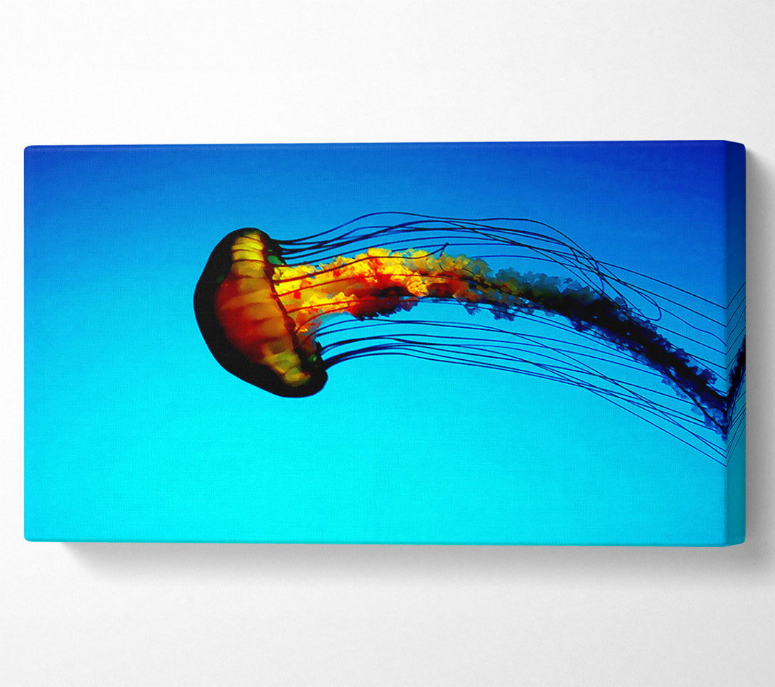  A Canvas Print of Ocean Jellyfish Canvas Print