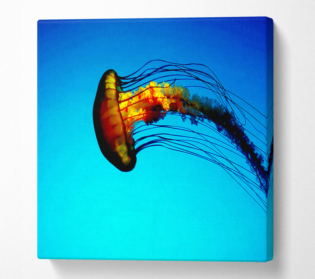  A Canvas Print of Ocean Jellyfish Canvas Print