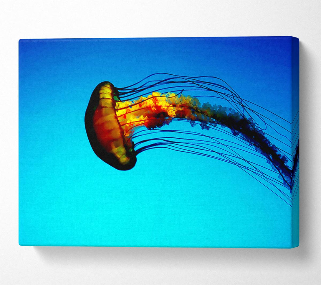  A Canvas Print of Ocean Jellyfish Canvas Print