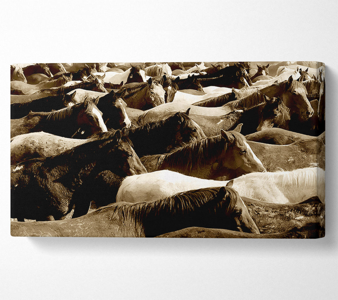  A Canvas Print of Ocean Of Horses Canvas Wall Art
