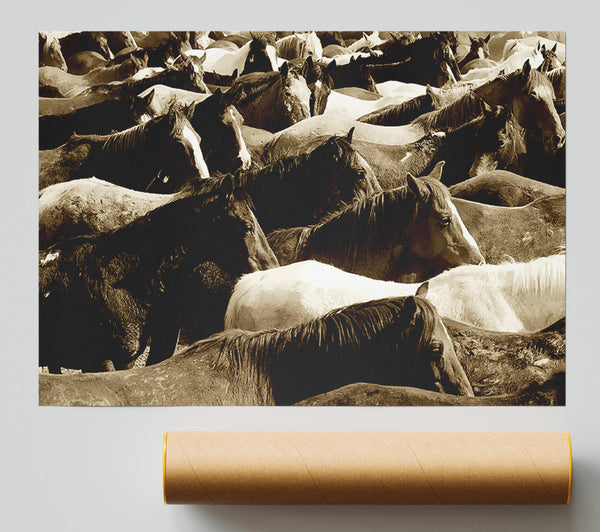 Ocean Of Horses Giclee Print