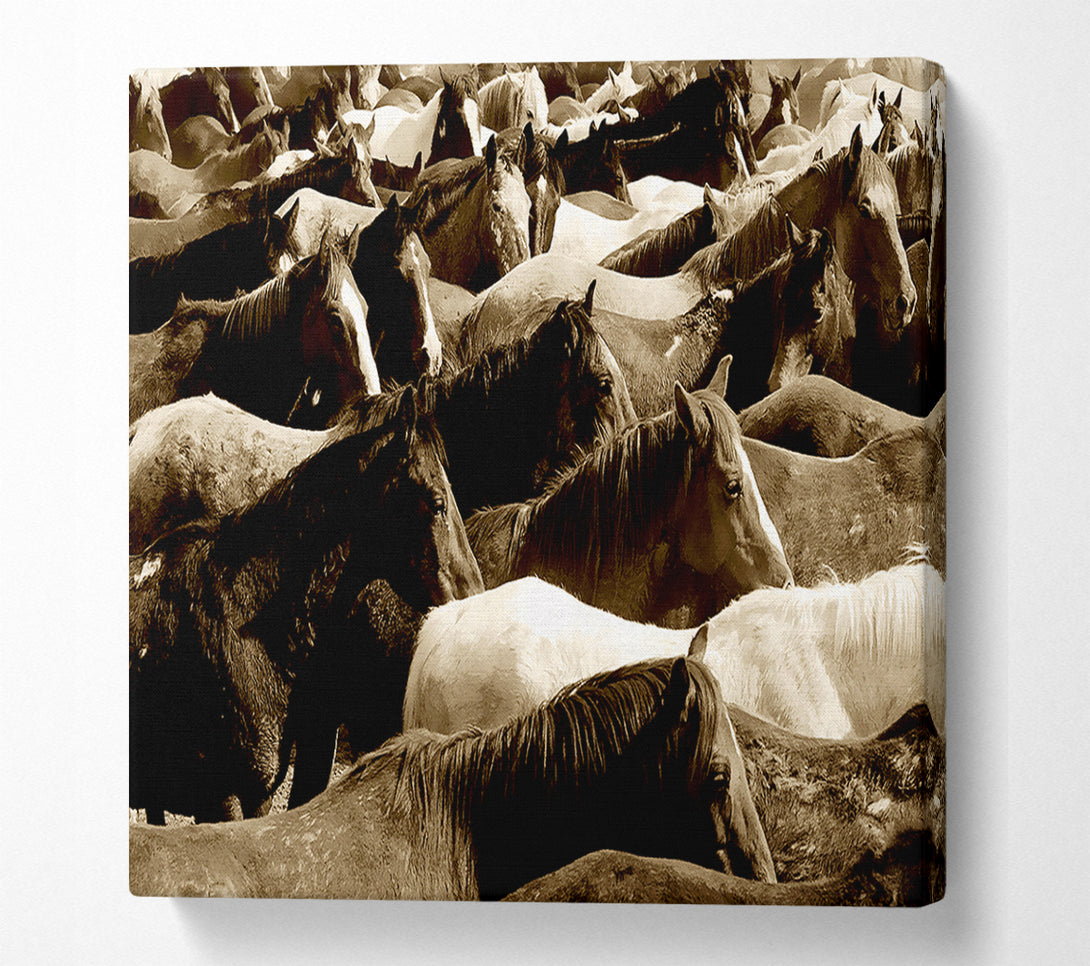  A Canvas Print of Ocean Of Horses Canvas Wall Art