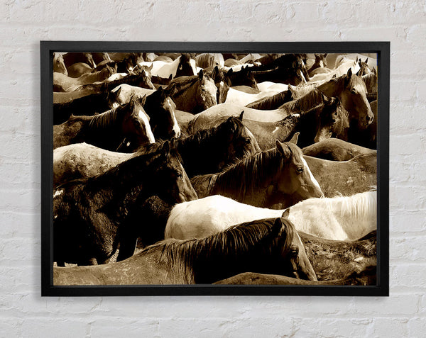 Ocean Of Horses Framed Print
