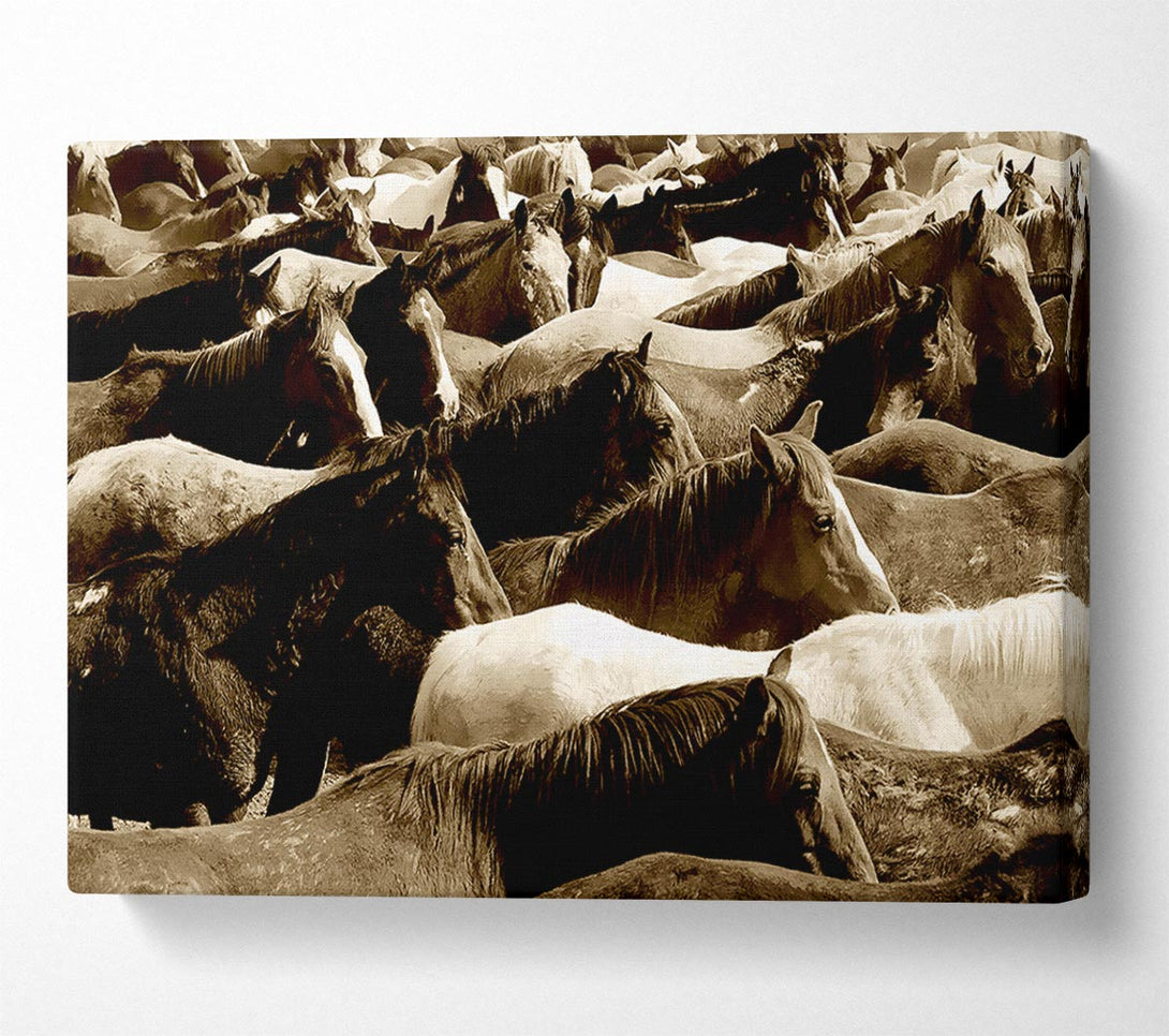  A Canvas Print of Ocean Of Horses Canvas Wall Art