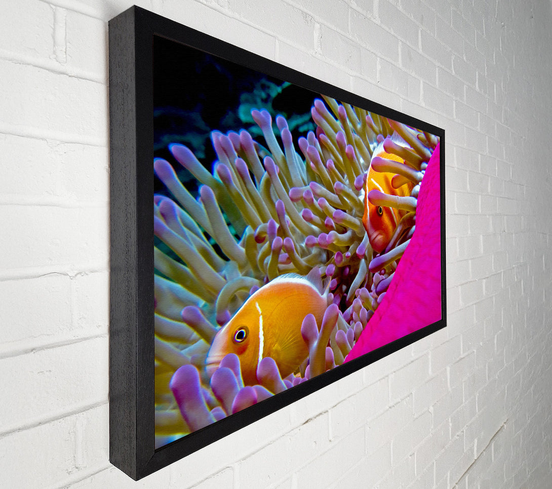  A Canvas Print of Ocean Sea Underwater Canvas Art