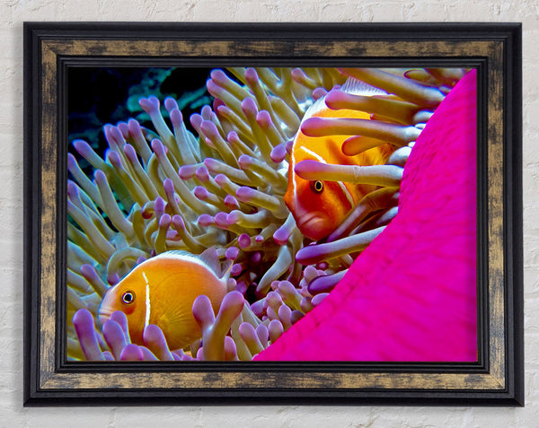 Ocean Sea Underwater Framed Print
