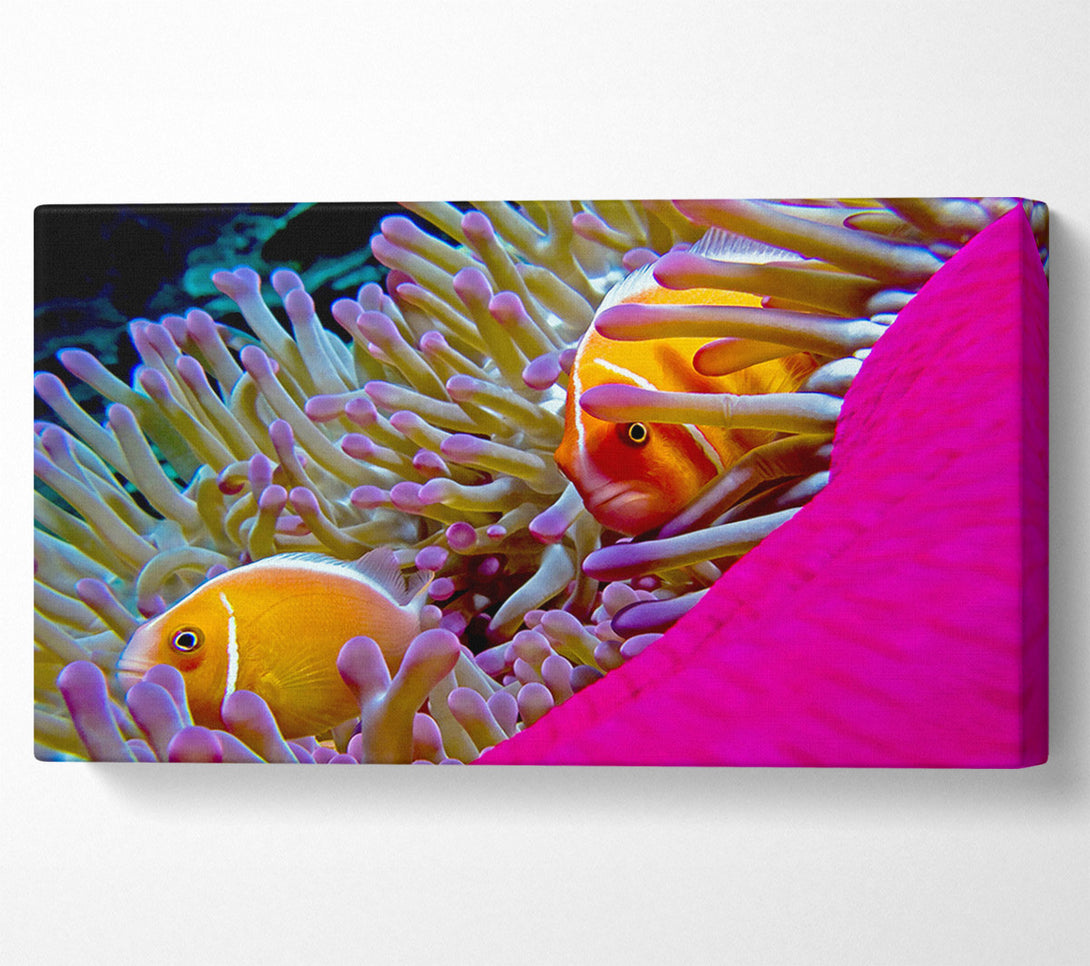  A Canvas Print of Ocean Sea Underwater Canvas Art