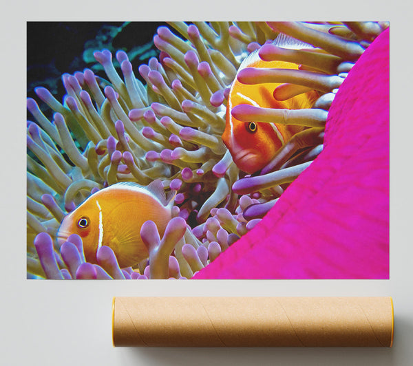 Ocean Sea Underwater Giclee Print