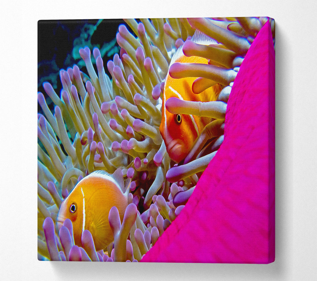  A Canvas Print of Ocean Sea Underwater Canvas Art