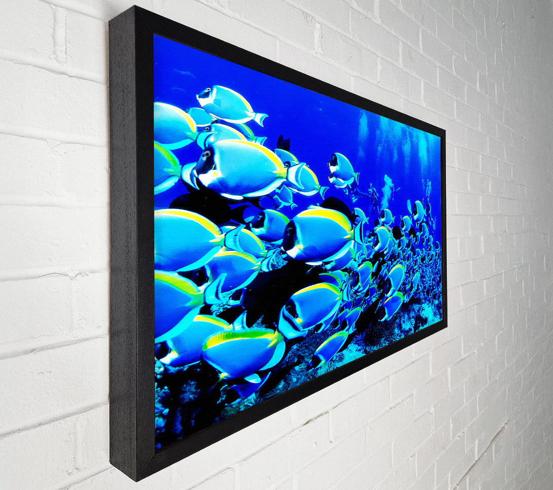  A Canvas Print of Oceans Glory Canvas Print