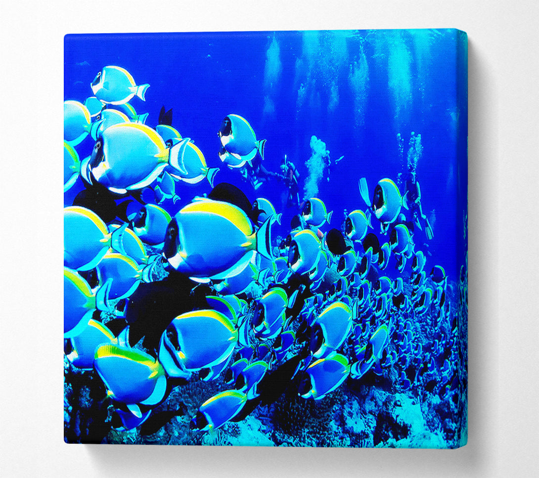  A Canvas Print of Oceans Glory Canvas Print