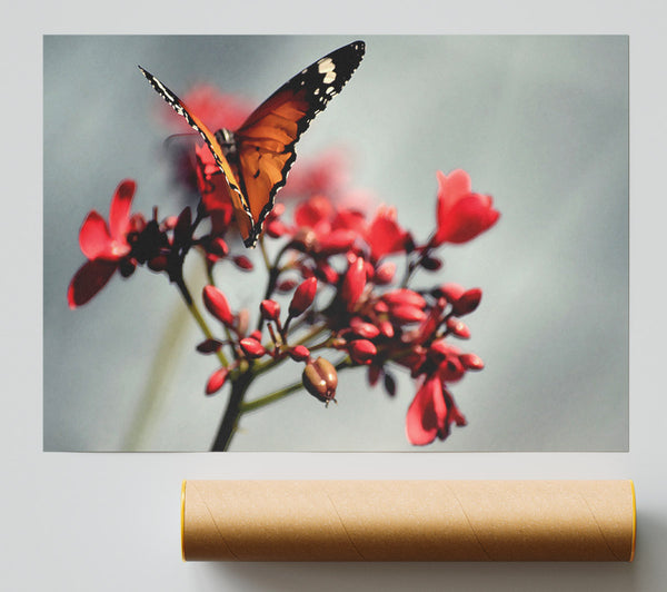Orange Butterfly On Flower Print