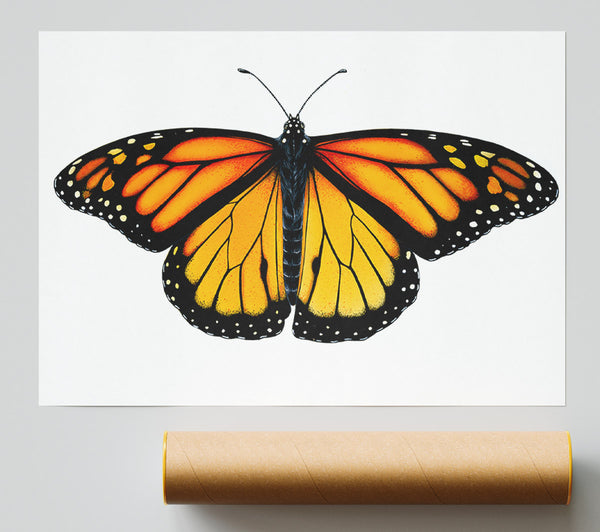 Orange Butterfly Wings Print