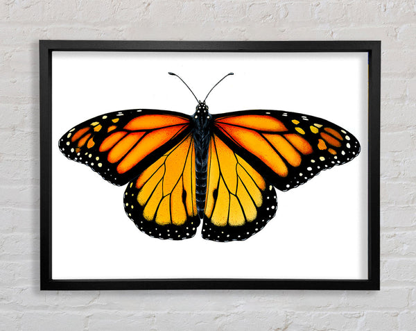 Orange Butterfly Wings Framed Print