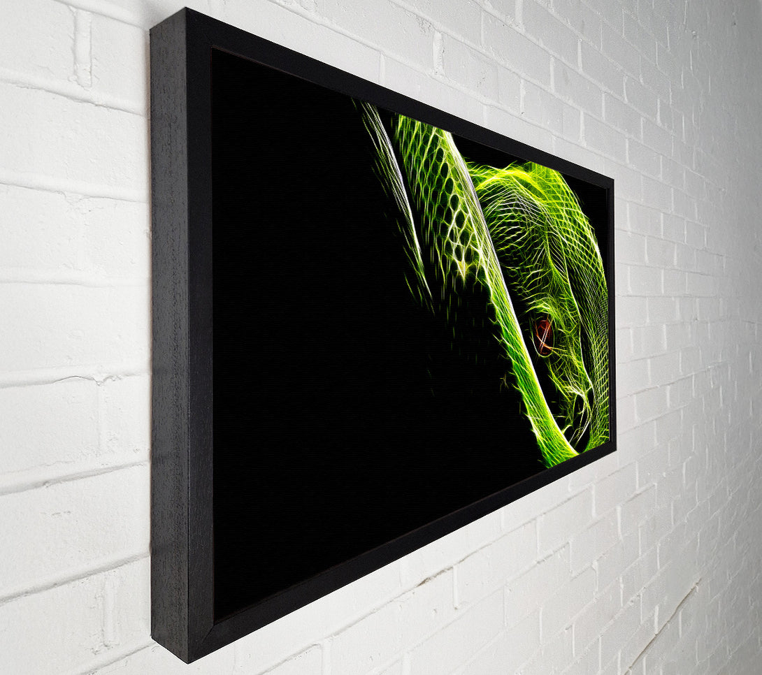  A Canvas Print of Green Blaze Snake Canvas Print