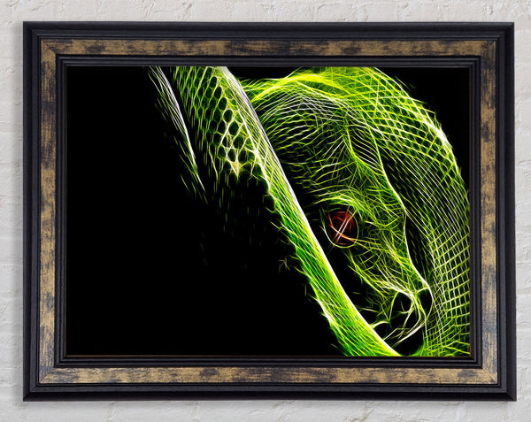 Green Blaze Snake Framed Print