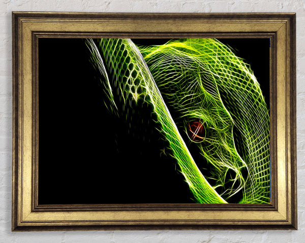 Green Blaze Snake Framed Print