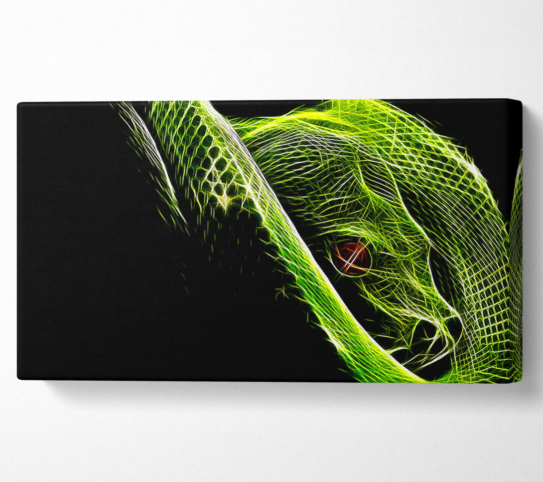  A Canvas Print of Green Blaze Snake Canvas Print
