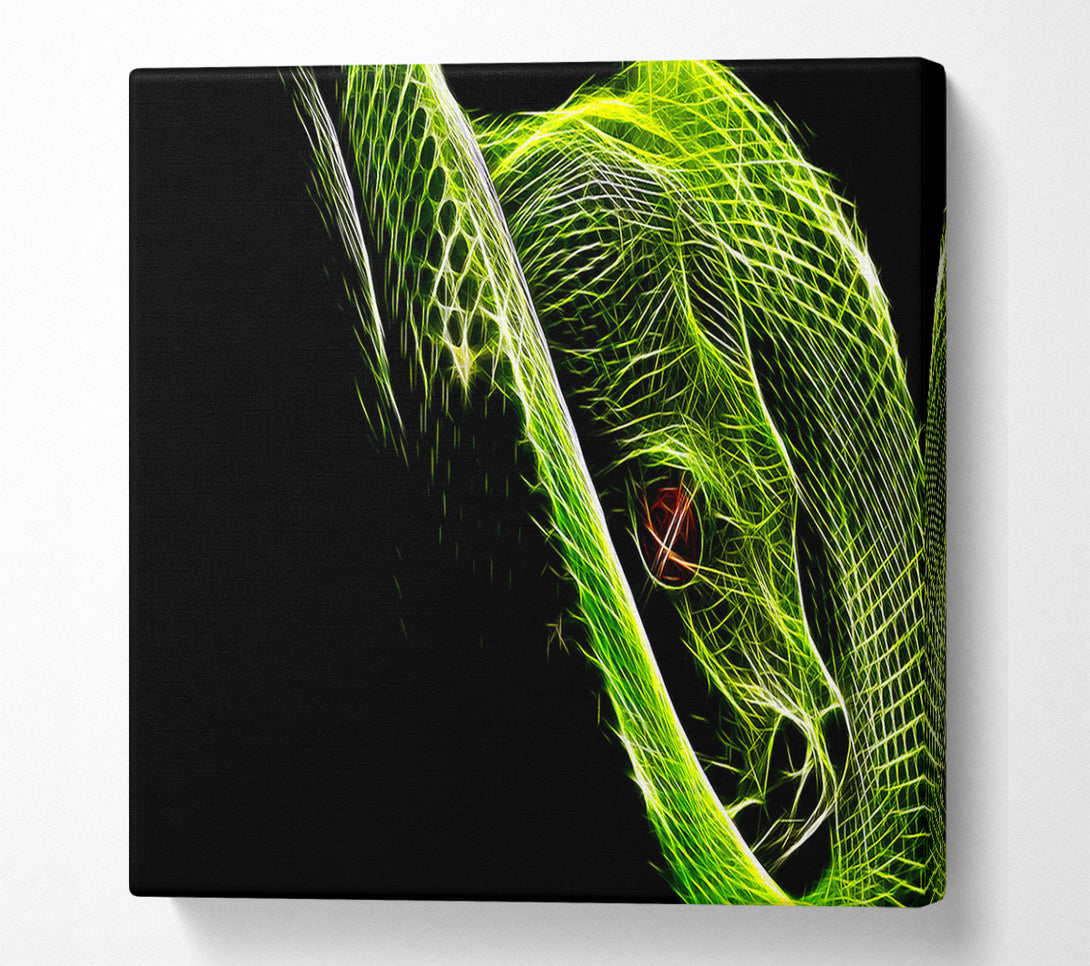  A Canvas Print of Green Blaze Snake Canvas Print