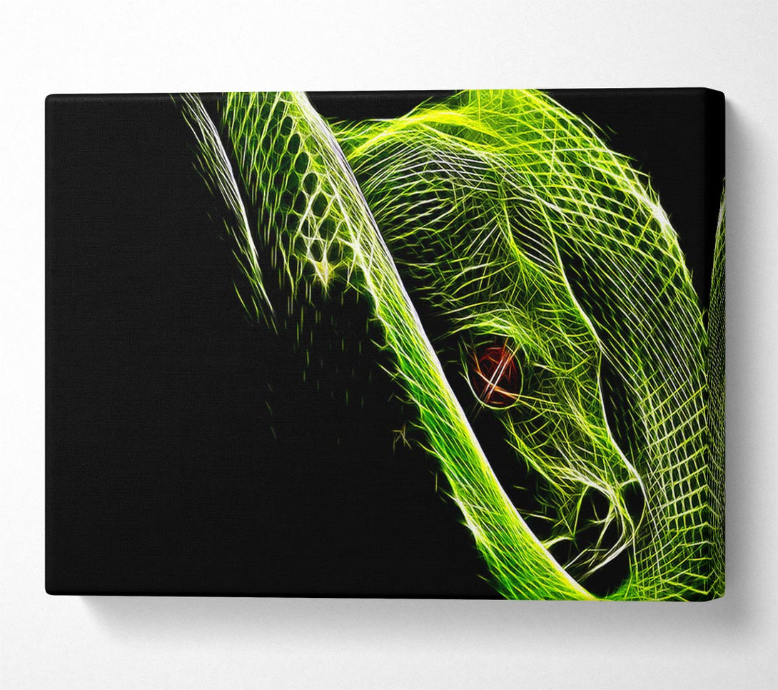  A Canvas Print of Green Blaze Snake Canvas Print