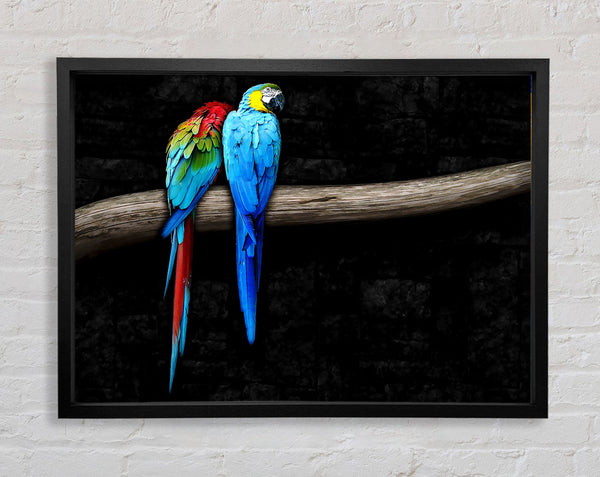 Pair Of Parrots Framed Print