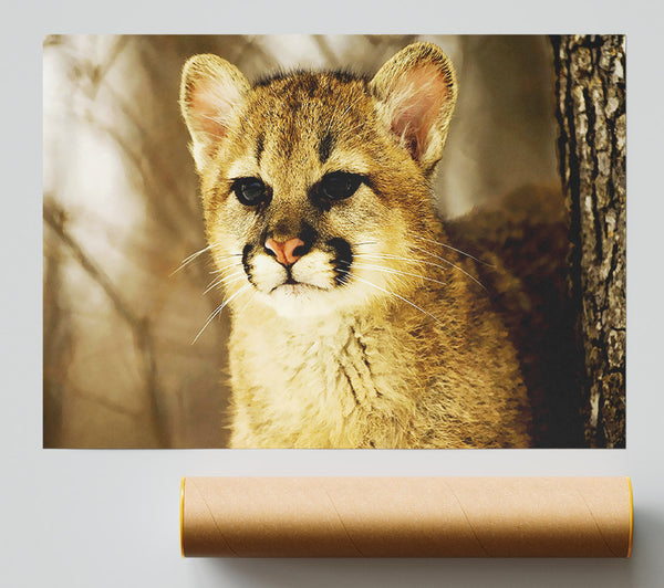 Panther In The Woodland Poster