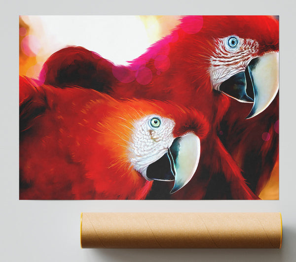 Parrots Giclee Print
