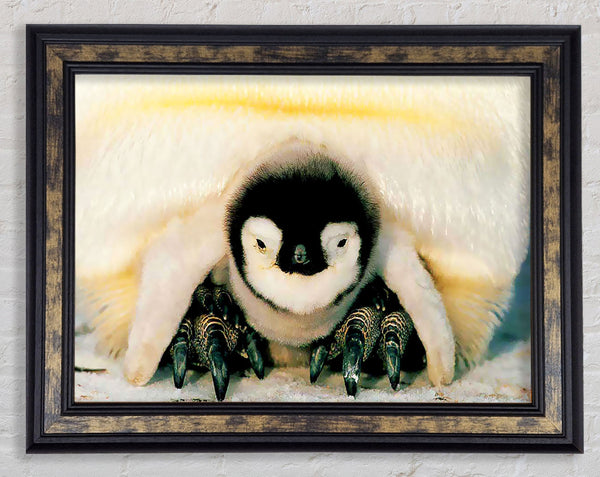 Penguin Love Framed Print