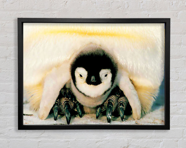 Penguin Love Framed Print