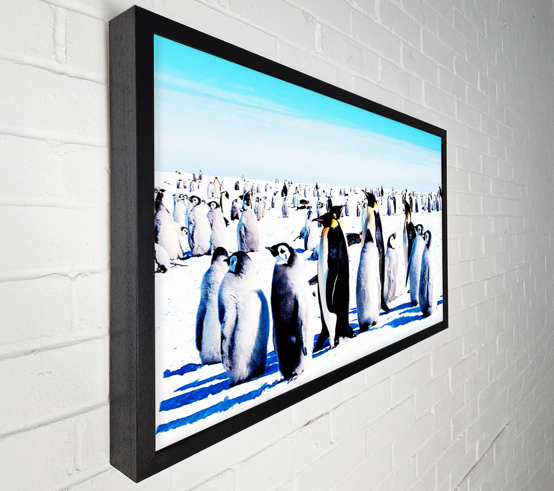  A Canvas Print of Penguin Meeting Place Canvas Wall Art