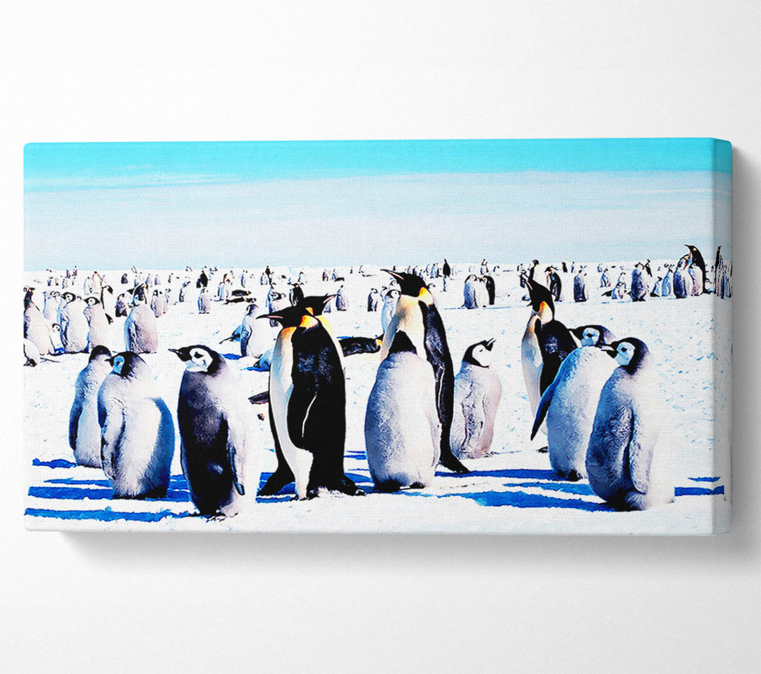  A Canvas Print of Penguin Meeting Place Canvas Wall Art