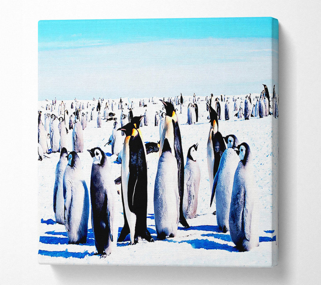  A Canvas Print of Penguin Meeting Place Canvas Wall Art