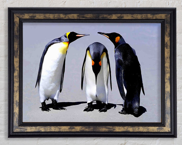 Penguin Shame Framed Print