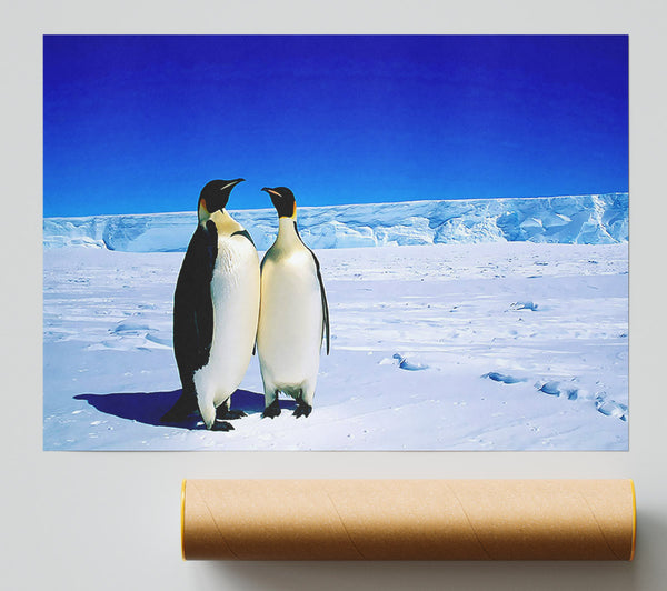 Penguin Stroll Giclee Print