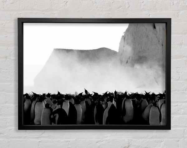 Penguin Winter Framed Print
