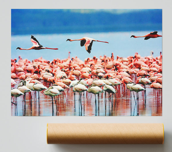 Pink Flamingos In Flight Print