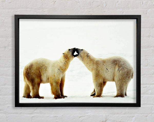 Polar Bear Love Framed Print