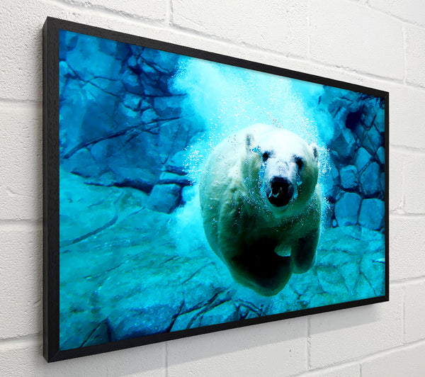 Polar Bear Ocean