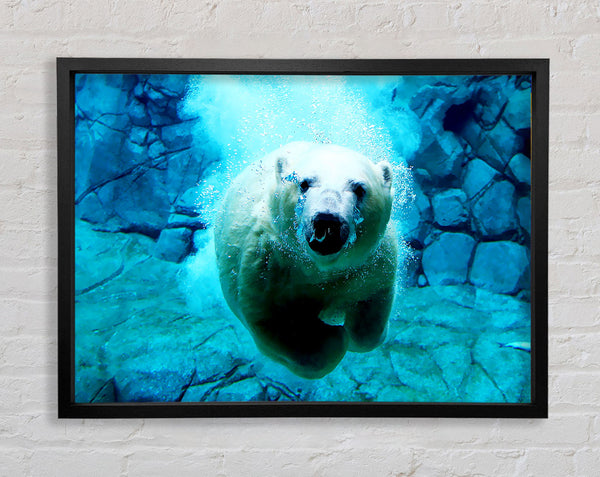 Polar Bear Ocean Framed Print