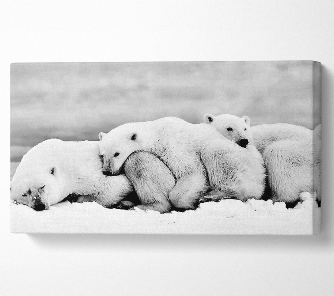  A Canvas Print of Polar bear Family Canvas Art