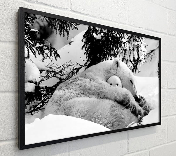 Polar bear Hug