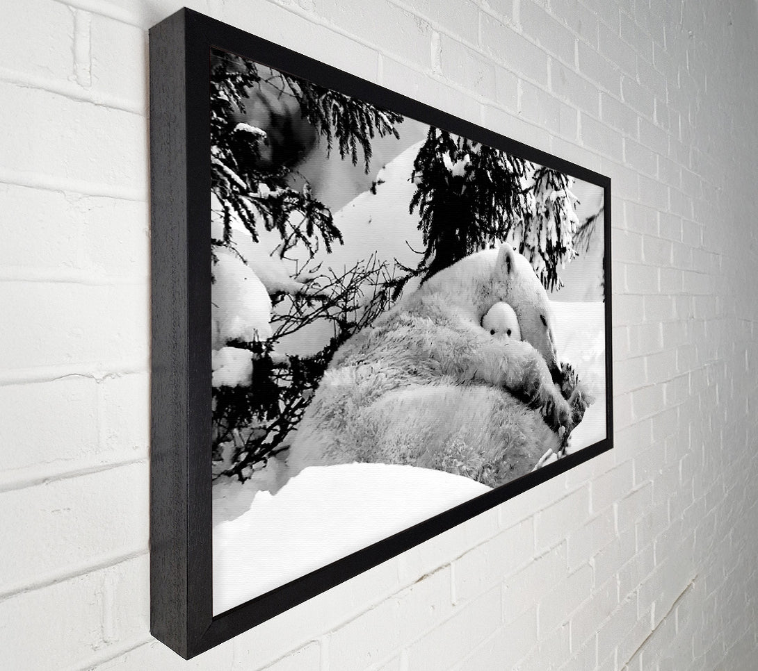  A Canvas Print of Polar bear Hug Canvas Art