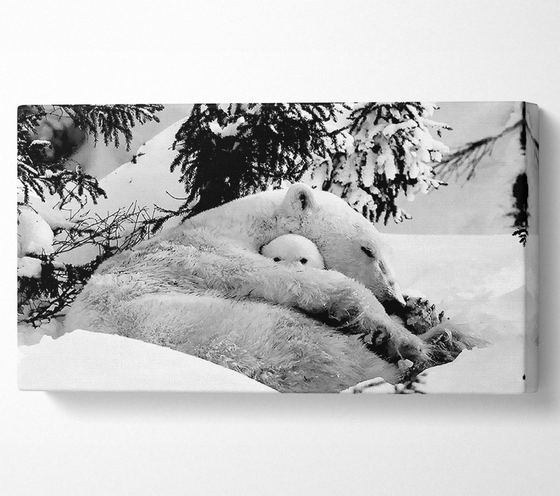  A Canvas Print of Polar bear Hug Canvas Art