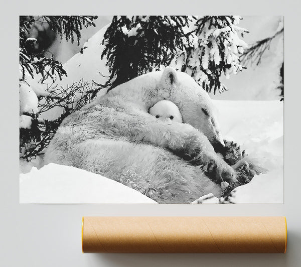 Polar Bear Hug Print