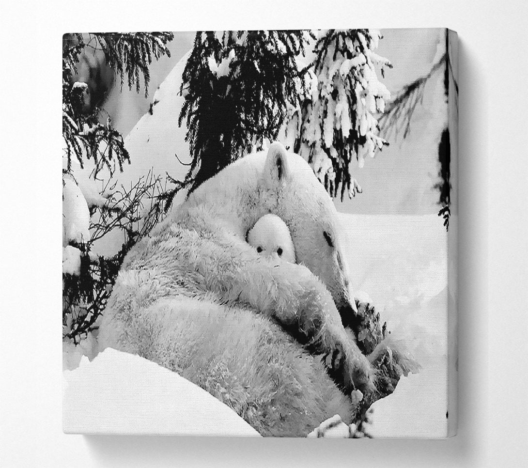  A Canvas Print of Polar bear Hug Canvas Art