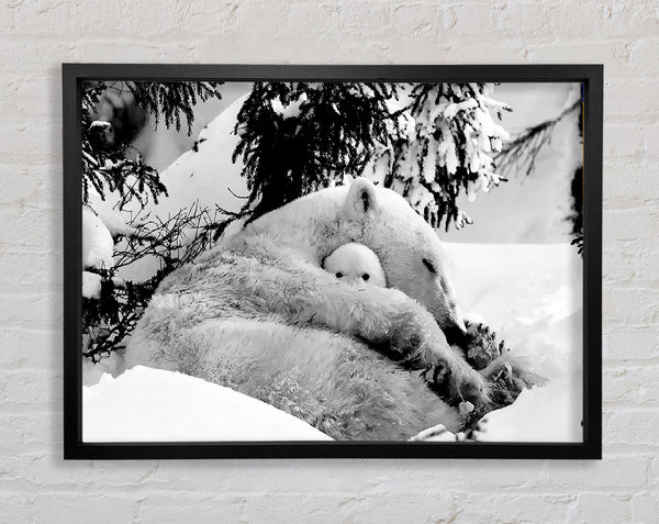 Polar bear Hug Framed Print