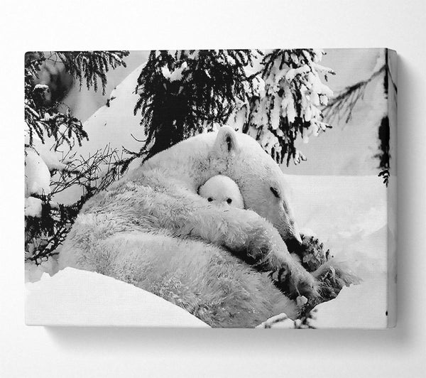  A Canvas Print of Polar bear Hug Canvas Art